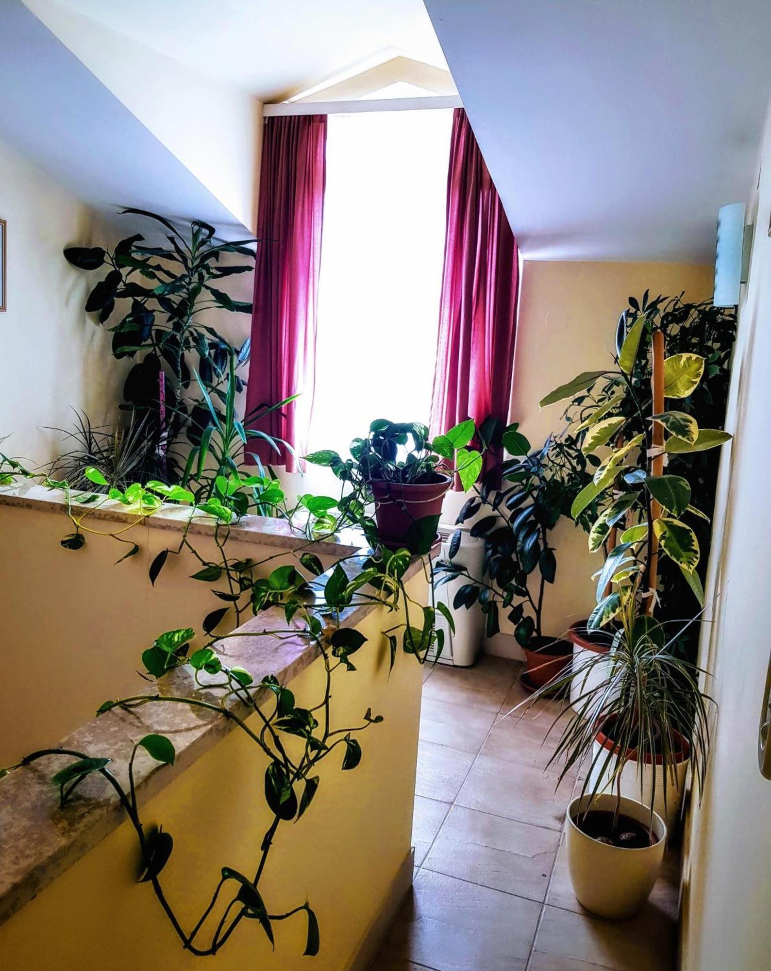 Villa Palcic II Novalja Buitenkant foto